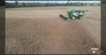 Letreiro iluminado de Nova Bandeirantes em Mato Grosso, celebrando 43 anos de desenvolvimento agrícola e comunitário. Créditos: Prefeitura de Nova Bandeirantes no Instagram.