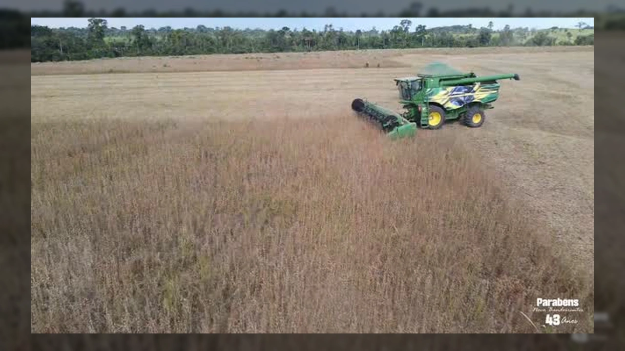 Letreiro iluminado de Nova Bandeirantes em Mato Grosso, celebrando 43 anos de desenvolvimento agrícola e comunitário. Créditos: Prefeitura de Nova Bandeirantes no Instagram.