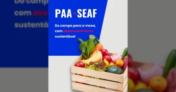 Caixa de madeira cheia de frutas, legumes e verduras frescas, simbolizando o Programa PAA. Imagens de agricultores e um bebê comendo morango, com créditos a Sec. Agricultura Familiar MT / Instagram.