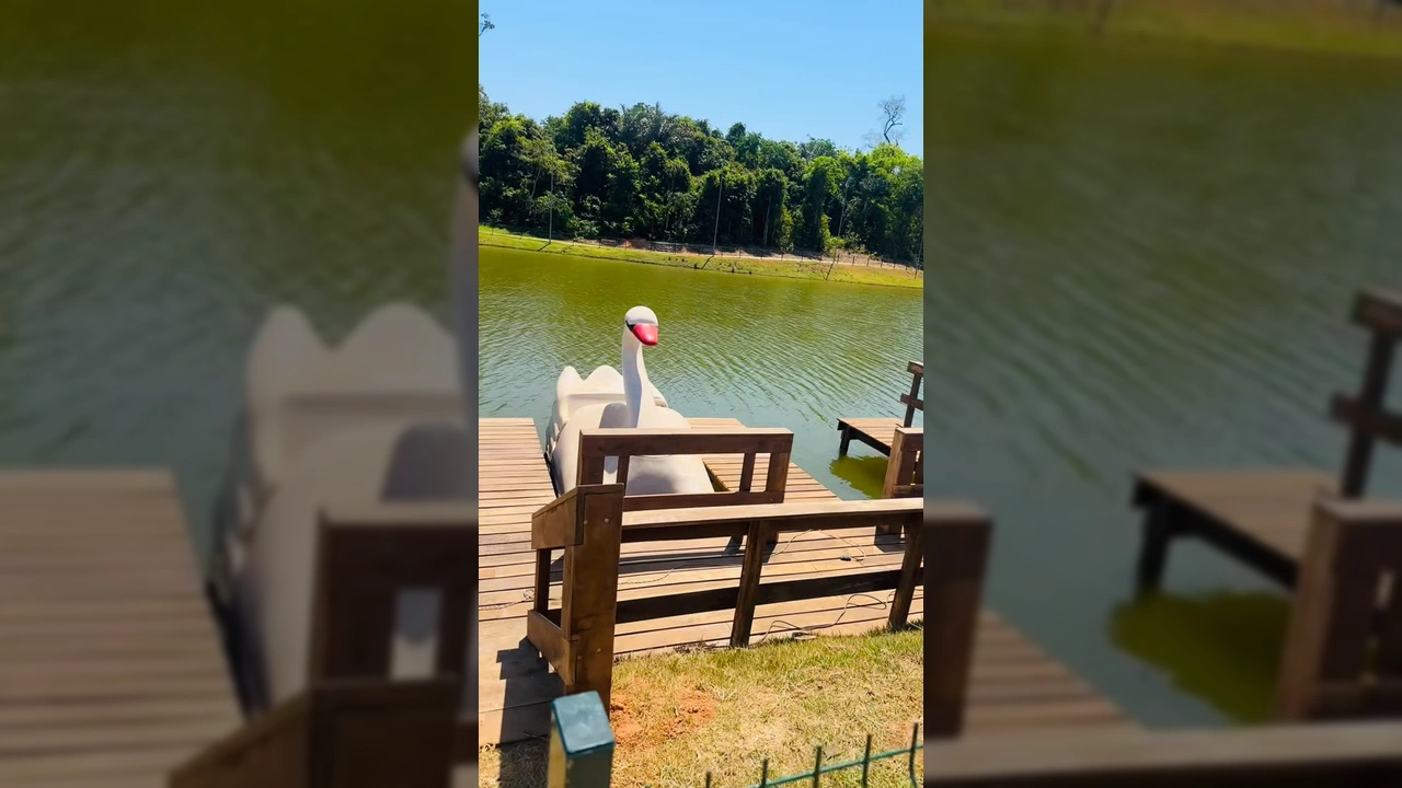 Nova atração de pedalinhos no Parque Olídio Pedro Gortolas em Santa Carmem, com estrutura de madeira flutuante e um pedalinho em formato de cisne. Créditos: Prefeitura de Santa Carmem / Instagram.