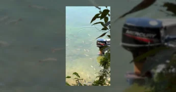Cenário de pesca e lazer no Rancho do Mano, Rio Manso. Crédito: @ranchodomano / Instagram