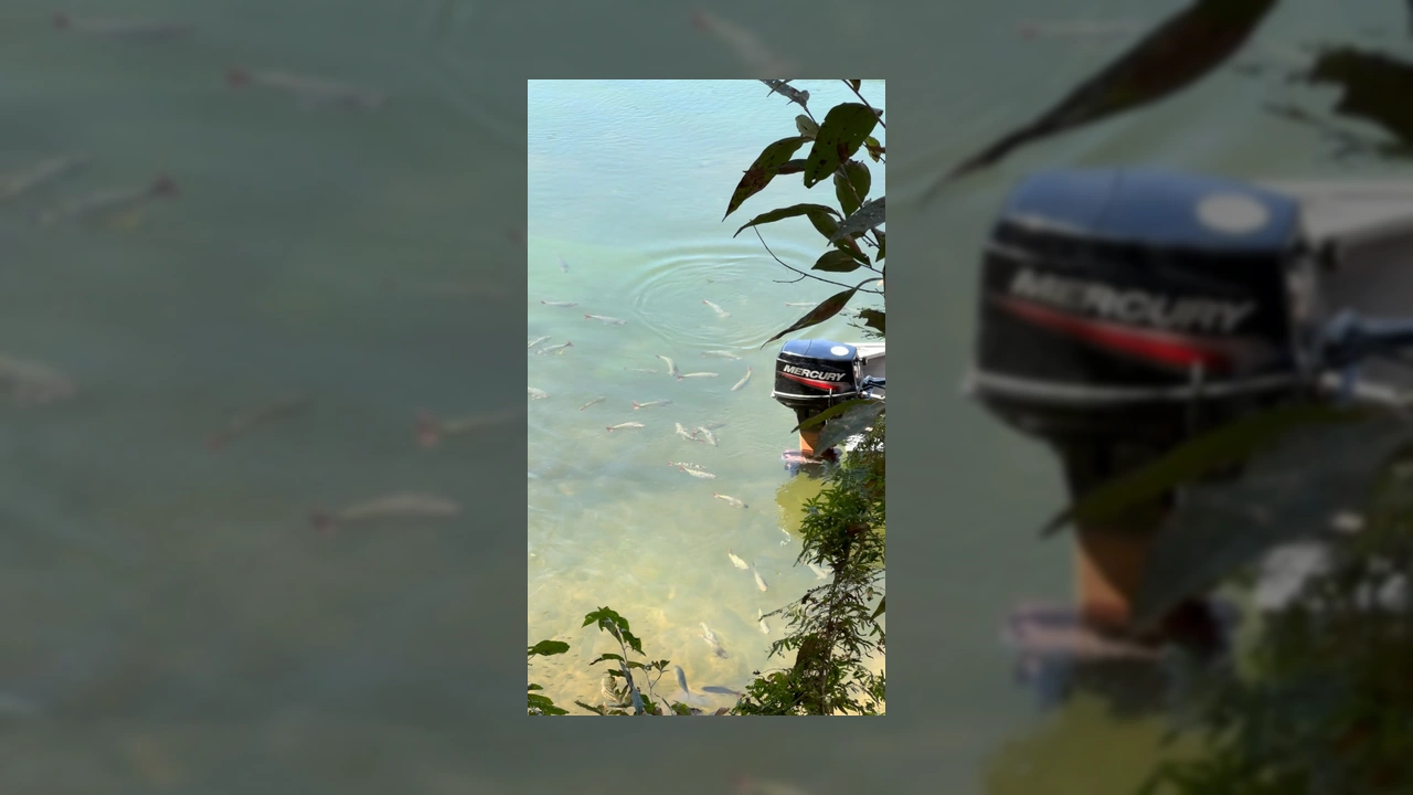 Cenário de pesca e lazer no Rancho do Mano, Rio Manso. Crédito: @ranchodomano / Instagram