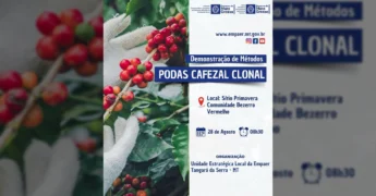 Foto de um agricultor de luvas brancas colhendo grãos de café maduros em um cafezal, divulgada pela Empaer-MT para o evento em Tangará da Serra / Instagram empaer_mt