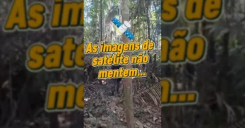Policiais militares em floresta densa durante operação contra desmatamento em Colniza, Mato Grosso / Imagem: @govmatogrosso no Instagram