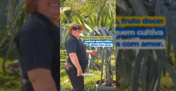Plantação de pitaya no Sítio Okada, em Sorriso, Mato Grosso, com uma produtora rural. Créditos: Prefeitura de Sorriso / Instagram.