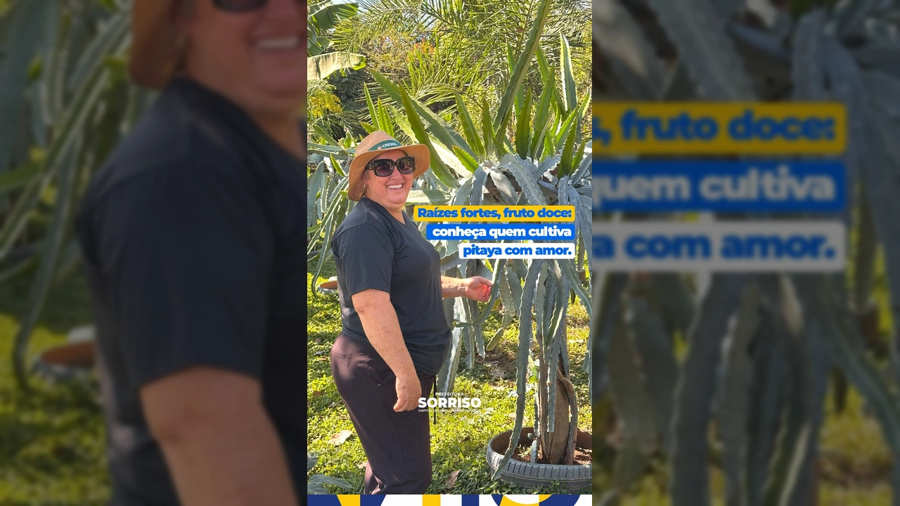 Plantação de pitaya no Sítio Okada, em Sorriso, Mato Grosso, com uma produtora rural. Créditos: Prefeitura de Sorriso / Instagram.