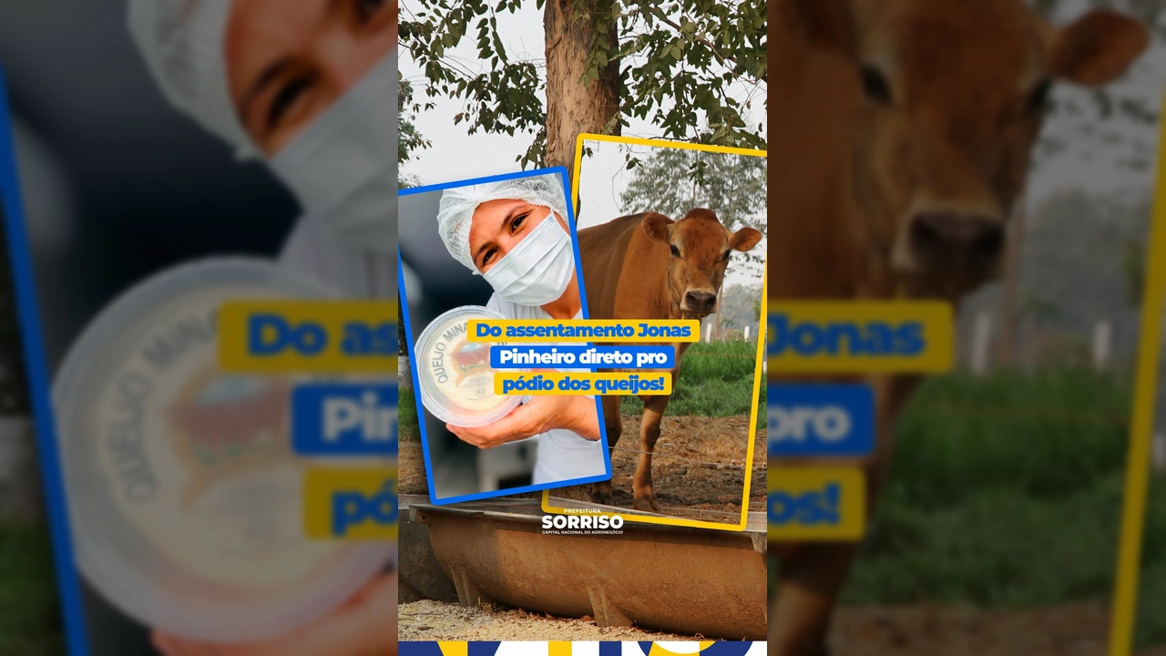 Rita Hachiya ao lado de suas vacas Jersey, celebrando o sucesso do Queijo Poranga, com seus prêmios visíveis. Imagem: Prefeitura de Sorriso / Instagram.