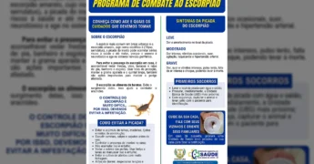 Imagem informativa sobre o combate ao escorpião, com dicas de prevenção e primeiros socorros em Nova Canaã do Norte / Instagram prefeituradenovacanaadonorte
