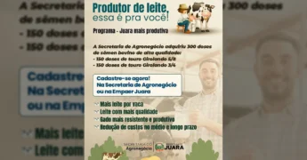 Imagem mostra um produtor de leite e uma vaca, representando o programa da Prefeitura de Juara para aprimorar a produção leiteira. Créditos: Prefeitura de Juara / Instagram.
