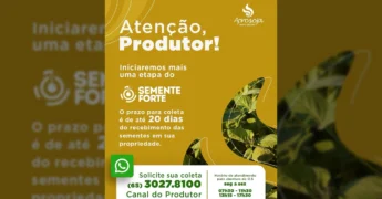 Imagem ilustrativa do Programa Semente Forte, com detalhes sobre coleta de sementes para produtores em Sorriso, Mato Grosso, via Sind Sorriso / Instagram