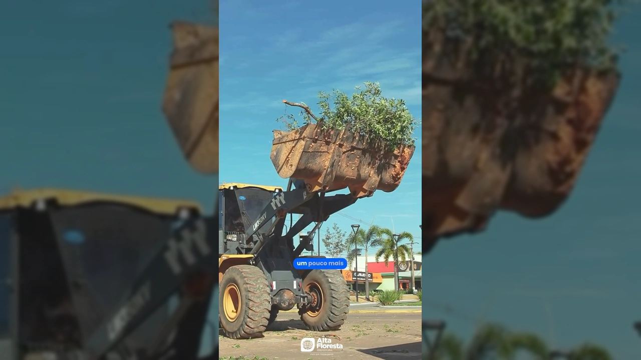 Equipes trabalhando na poda de árvores e instalação de nova iluminação na Avenida Amazonas, Alta Floresta. Créditos: Prefeitura de Alta Floresta / Instagram