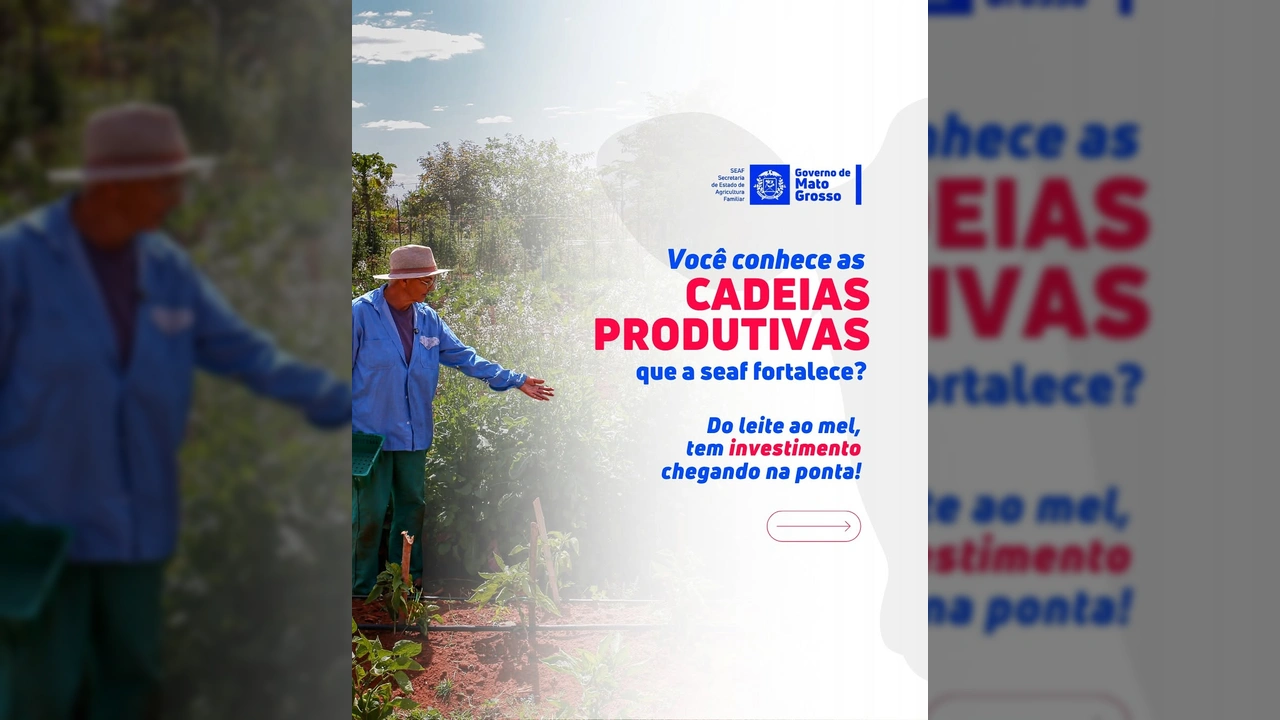 Homem agricultor cuidando de plantação, cena de agricultura familiar em Mato Grosso. Créditos: Instagram / seafmt