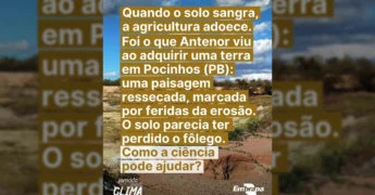 Solo ressecado e erosionado no Semiárido, imagem do post da Embrapa. Créditos: Embrapa / Instagram.