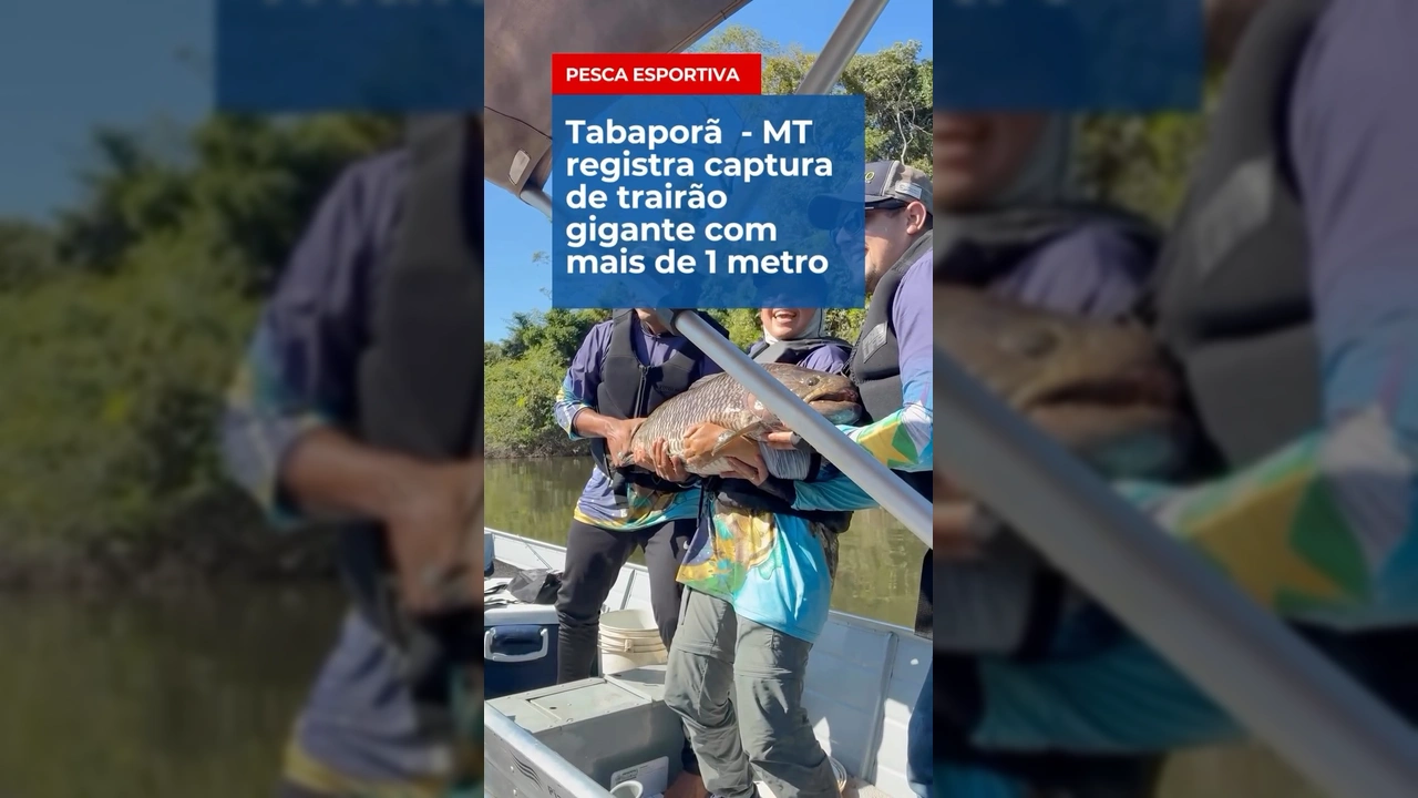 Grupo de pescadores segurando um trairão gigante em barco, em Tabaporã. Crédito: pescadoresdematogrosso / Instagram