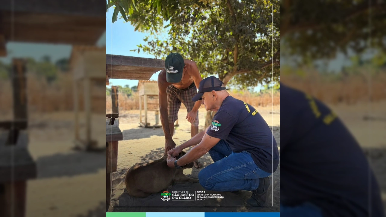 Pessoa vacinando um cachorro durante a campanha antirrábica em São José do Rio Claro. Crédito: Secretaria de Saúde e Saneamento Básico de São José do Rio Claro / Instagram.
