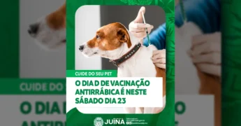 Cão sendo vacinado para raiva, com legenda sobre o Dia D de vacinação em Juína, uma imagem da Prefeitura de Juína no Instagram.