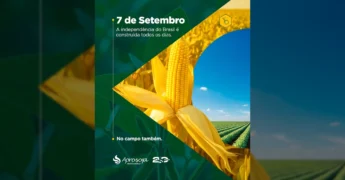 Imagem mostrando plantações de milho e soja, com a mensagem '7 de Setembro, a independência do Brasil é construída todos os dias. No campo também.' Crédito: Aprosoja Mato Grosso / Instagram.