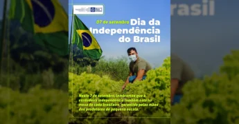 Imagem de um agricultor em Mato Grosso, celebrando a independência do Brasil com a produção de alimentos, destacando o trabalho da agricultura familiar. Crédito: @seafmt / Instagram.