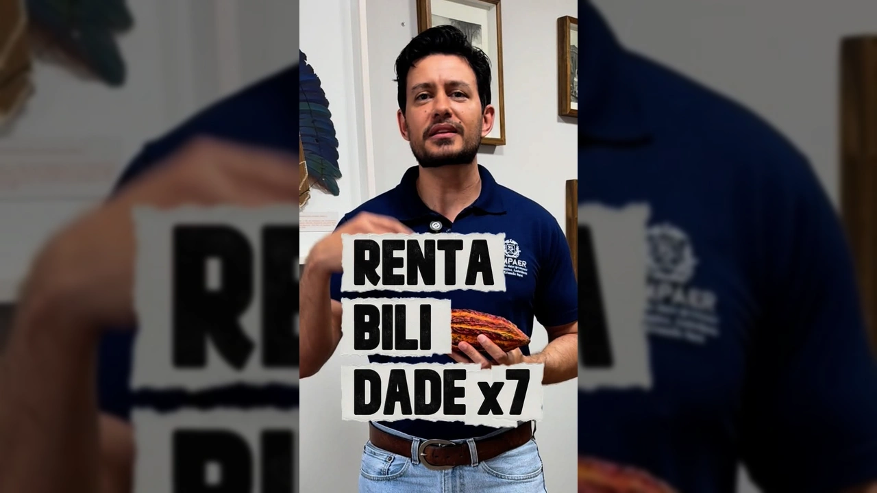 Fabrício Tomaz da Empaer com fruto de cacau, em pesquisa para Mato Grosso. Crédito: @empaer_mt.