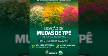 Mudas de Ipê amarelo, branco e rosa em destaque para doação em Matupá, promovida pela Prefeitura Municipal de Matupá / Instagram.