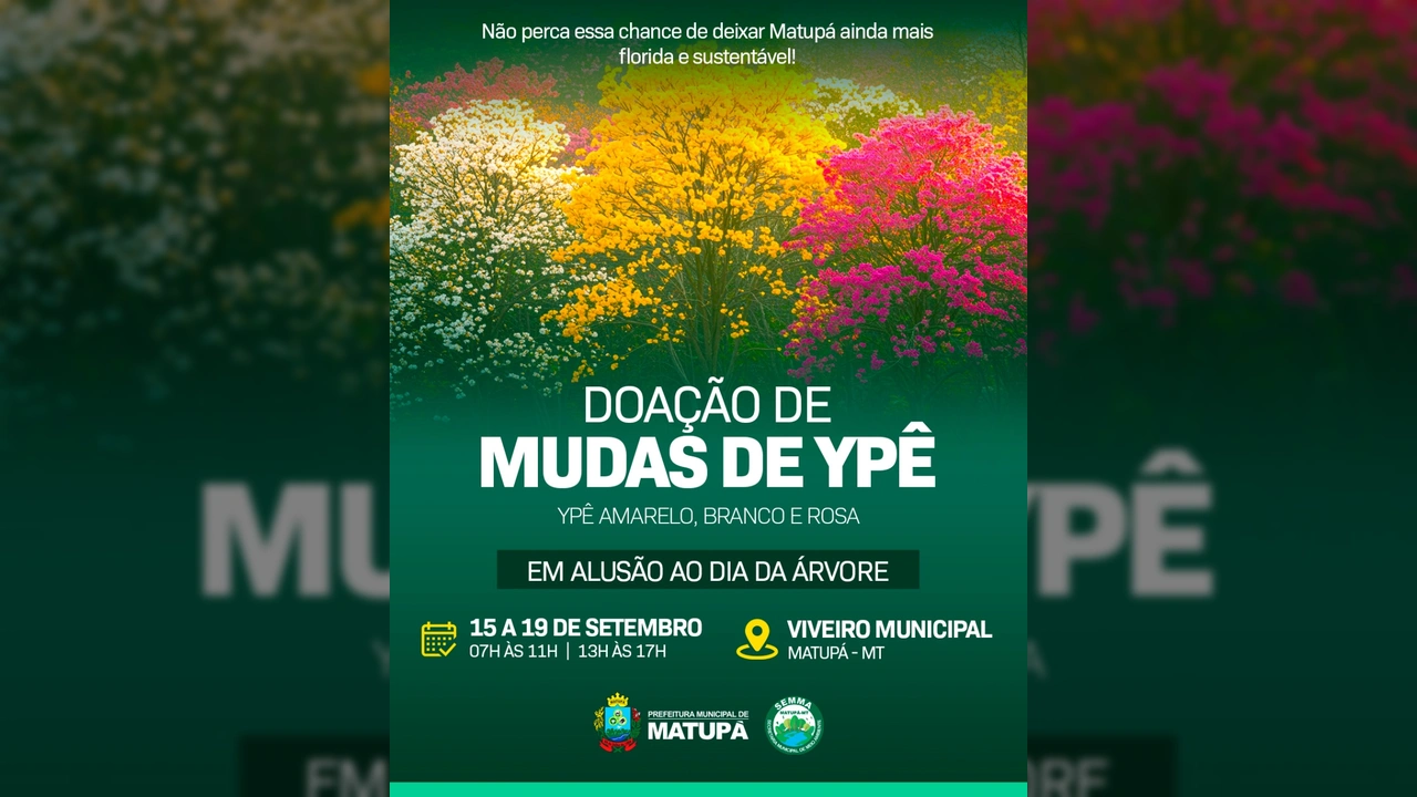 Mudas de Ipê amarelo, branco e rosa em destaque para doação em Matupá, promovida pela Prefeitura Municipal de Matupá / Instagram.
