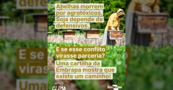 Imagem de um apicultor manejando colmeias em meio a um campo verde, simbolizando a integração entre apicultura e sojicultura, uma iniciativa da Embrapa.