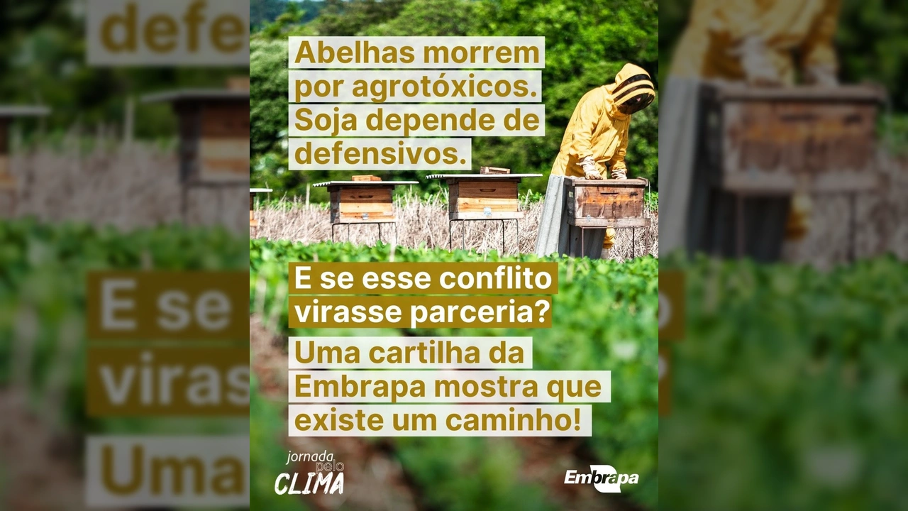 Imagem de um apicultor manejando colmeias em meio a um campo verde, simbolizando a integração entre apicultura e sojicultura, uma iniciativa da Embrapa.