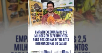 Empaer MT divulgando investimento em cacau com exposição de frutos / Instagram