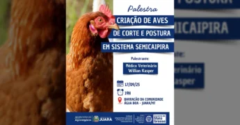 Foto de uma galinha semicaipira com crista vermelha em foco, ilustrando o tema da palestra sobre avicultura familiar em Juara promovida pela Empaer MT / Instagram empaer_mt