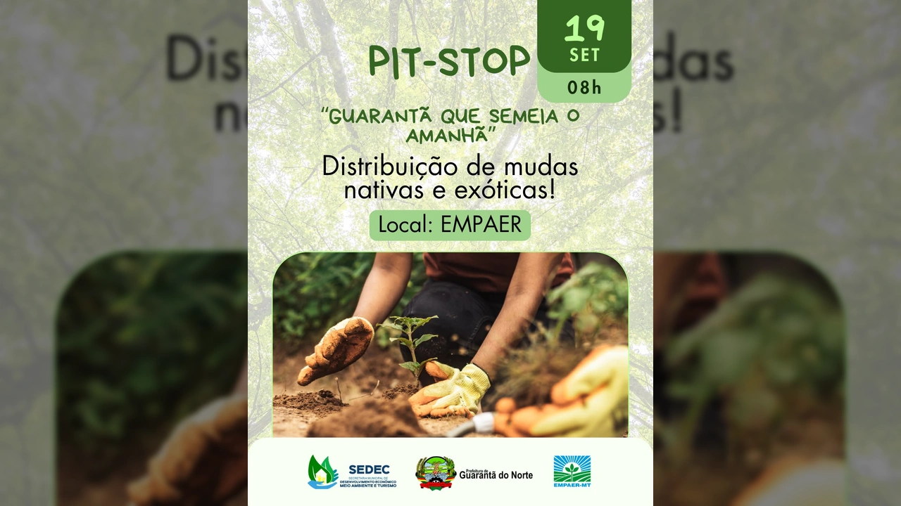 Imagem de uma pessoa plantando uma muda no solo, representando o Pit Stop Ambiental em Guarantã do Norte. Créditos: Prefeitura Municipal / Instagram.