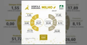 Infográfico IMEA com dados de oferta e demanda de milho, algodão e soja em Mato Grosso. Crédito: IMEA / Instagram.