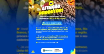 Imagem de vagens de cacau e grãos de café, com texto 'ATENÇÃO PRODUTOR!' e informações sobre cadastro em Aripuanã. Crédito: Prefeitura de Aripuanã / Instagram.