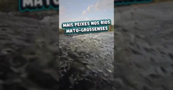 Vista aérea de rio em Mato Grosso com barco e peixes saltando, celebrando o turismo de pesca sustentável, foto de Virginia Mendes / Instagram.
