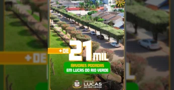 Serviços de poda de árvores em Lucas do Rio Verde, com mais de 21 mil árvores já podadas. Crédito: Instagram prefeituradelucasdorioverde.