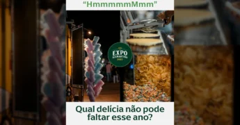 Variedade de comidas e lineup de artistas na Expo Diamantino 2025. Créditos: expodiamantino no Instagram.