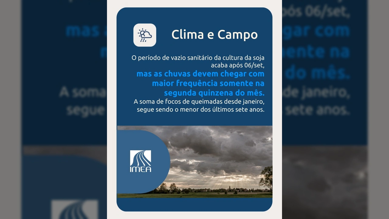 Campos agrícolas em Mato Grosso sob céu nublado, indicando a aproximação de chuvas, com logotipo do IMEA. Crédito: IMEA / Instagram