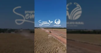 Crianças em Carlinda aprendendo sobre agronegócio e pecuária com o Programa Semeia SENAR-MT. Imagem por sindcarlinda / Instagram