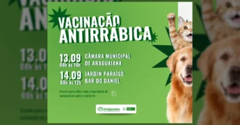 Cão Golden Retriever e gato sorrindo em campanha de vacinação antirrábica em Araguaiana. Crédito: Prefeitura de Araguaiana