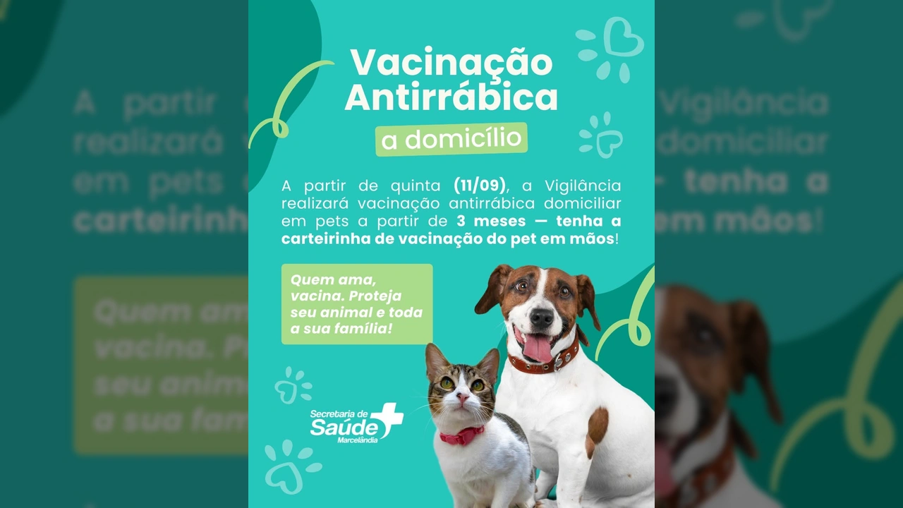 Foto de um gato e um cachorro, representando a campanha de vacinação antirrábica domiciliar em Marcelândia. Créditos: Prefeitura de Marcelândia / Instagram.