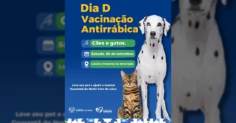 Cão dálmata e gato listrado ao lado de informações sobre a campanha de vacinação antirrábica em Guarantã do Norte, 06 de setembro.