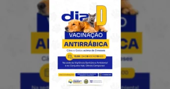 Cão e gato deitados com texto "Dia D Vacinação Antirrábica" da Prefeitura de Novo Horizonte do Norte.