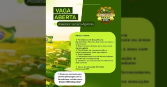 Anúncio de vaga para Assessor Técnico Agrícola em Canarana, MT, pela Dinetec Brasil. Crédito: @dinetecbr.